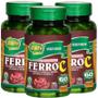 Imagem de Ferro + vitamina C 60 cápsulas de 500mg Kit com 3