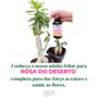 Imagem de Fertilizante Adubo Rosa Do Deserto Spray 500ml Pronto Uso