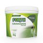 Imagem de Fertilizante Gramados FOLIAR Balde 3 kg Forth