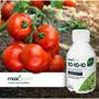 Imagem de Fertilizante Líq. Concentrado NPK 10-10-10 (100ML) MAXGREEN