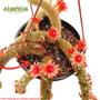 Imagem de Fertilizante NPK de liberação controlada 3M 16-8-12(+2) - 1 kg Plantas Ornamentais Orquídeas Suculentas Cactos Frutas