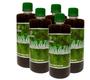 Imagem de Fertilizante para Samambaias Pronto para Uso  500 ml - Forth & Fértil -  5 unid.  Vd00