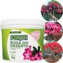 Imagem de Fertilizante Rosa do Deserto balde 3 kg Forth