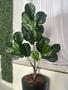 Imagem de Ficus Lyrata Artificial Planta Com Vaso Folhas Árvore Cheia 