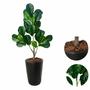 Imagem de Ficus Lyrata Artificial Planta Com Vaso Folhas Árvore Cheia 