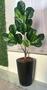 Imagem de Ficus Lyrata Artificial Planta Com Vaso Folhas Árvore Cheia 