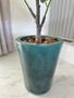Imagem de Ficus Lyrata Artificial Planta Com Vaso Folhas Árvore Cheia 