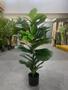 Imagem de Ficus Lyrata Artificial Planta Grande Decoração Sala 1.00m