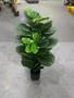 Imagem de Ficus Lyrata Artificial Planta Grande Decoração Sala 1.00m