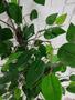 Imagem de Ficus Verde Planta Artificial Figueira sem Vaso Decorativo