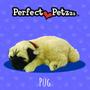 Imagem de Filhote PUG QueRespira Perfect Petzzz