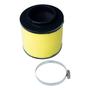 Imagem de Filtro Ar Quadriciclo Honda Fourtrax 350 2002 Até 2007