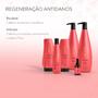 Finalizador Restore System 250g Aneethun Imagem de Finalizador Restore System 250g Aneethun