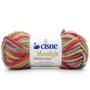 Imagem de Fio Cisne Moonlight Multicolor 100g