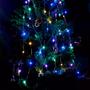 Imagem de Fio de Fada Colorido, 600 LEDs, 2m, 5 Ramos, Com Fonte