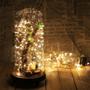 Imagem de Fio De Fada Led  Cordão 3 Metros 30 Leds Branco Quente