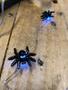 Imagem de Fio De Luz Aranhas Halloween 10 Leds 2 Pilhas Aa