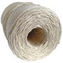 Imagem de Fio de Sisal 200/1 Natural Razado 180 metros 3.2mm 1 kg artesanato uso geral Apaeb