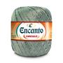 Imagem de Fio Encanto 128mts 100gms Circulo