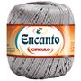 Imagem de Fio Encanto 128mts 100gms Circulo