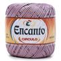 Imagem de Fio Encanto 128mts 100gms Kit 2 Unidades