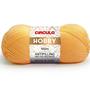 Imagem de Fio Hobby Círculo 100G - Círculo s/a