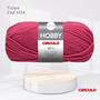 Imagem de Fio Hobby Circulo 100g Tulipa 3334