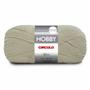 Imagem de Fio / Lã Hobby 100G - Círculo 8978-Mercurio