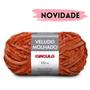 Imagem de Fio Veludo Molhado Circulo 100g