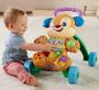 Imagem de Fisher Price Andador Com Atividades Do Cachorrinho - Mattel Frc78
