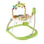 Imagem de Fisher Price Jumperoo Floresta Animada CHN44