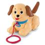 Imagem de Fisher Price Meu Primeiro Cachorrinho H9447 Mattel