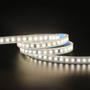 Imagem de Fita de Led Nordecor com 100 metros IP65 120Leds/m 10W 127V