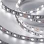 Imagem de Fita de Led Taschibra com 3 metros 12W Bivolt