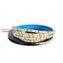 Imagem de Fita Led 12V 8W/m 6500K IP20 Rolo 5 Metros 5mm Ultra Fina DS5030 Delis