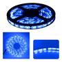 Imagem de Fita LED 3528 Azul Rolo Com 5 Metros e 300 LEDs 480 Lumens  TB5021