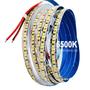 Fita LED 3528 Para Perfil Luz 6500K Branco Frio 5mts 240LEDs/m Para Perfil 25W FN875 Imagem de Fita LED 3528 Para Perfil Luz 6500K Branco Frio 5mts 240LEDs/m Para Perfil 25W FN875