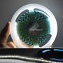 Imagem de Fita Led 6500K Branco Frio 5M 3528 Ip20 240leds/m Adesivada P/ Corredores, Janelas, Arcos FN875