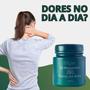 Imagem de FitoSport Gel de Arnica Fitogel 21 Ervas + Gel Massageador Mastruz Com Arnica