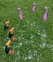 Imagem de Flamingos e Tucanos 6 Peças Enfeites e Decorações para Jardim