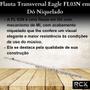 Imagem de Flauta Transversal Eagle FL03N em Dó Niquelado