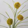Imagem de Flor artificial craspedia