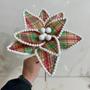 Imagem de Flor de Natal Grande Estampada 24cm 287722 - Vencedor