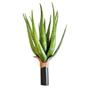 Imagem de Flor Decorativa Aloe Verde Artificial 50cm Florarte