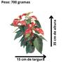 Imagem de Flor Do Natal Bico-de-papagaio Poinsétia Red Gliter Adulta