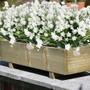 Imagem de Flores artificiais,8 pacotes de plantas falsas resistentes a UV ao ar livre (brancas)