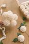 Imagem de Flores Artificiais Ling's Moment - 25 Dahlias Creme com Caule