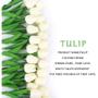 Imagem de Flores de tulipa, 24 peças, real touch, azul e creme, festa em casa, casamento, decoração DIY
