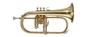 Imagem de Flugelhorn MICHAEL - WFHM35