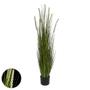 Imagem de Folhagem Capim Grass Com Pote Verde 120cm